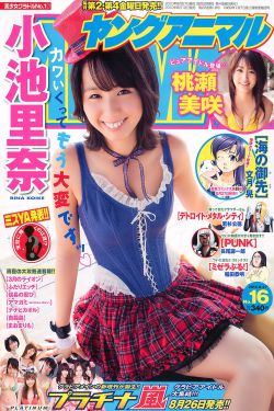 小娘惹电视剧免费观看完整版