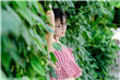 一胎双宝:总裁大人夜夜欢_小说