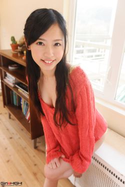 黑炮事件的讽刺和反思