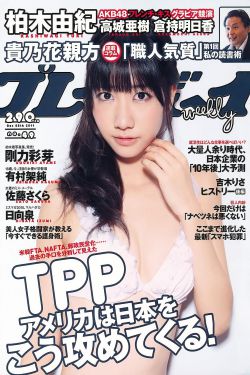 陈佳佳